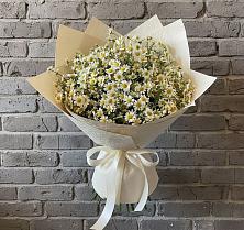 Букет цветов из:  Ромашки #REPLACE_PRED# Ахтимнеево